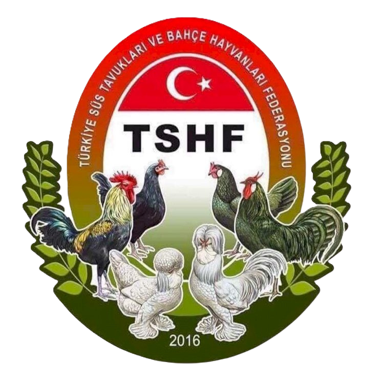 TSHF Logo